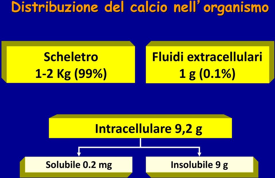 Fluidi extracellulari 1 g (0.