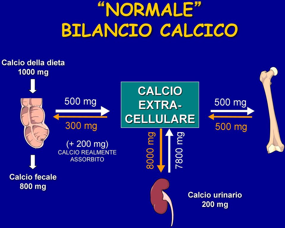 CELLULARE 500 mg 500 mg (+ 200 mg) CALCIO