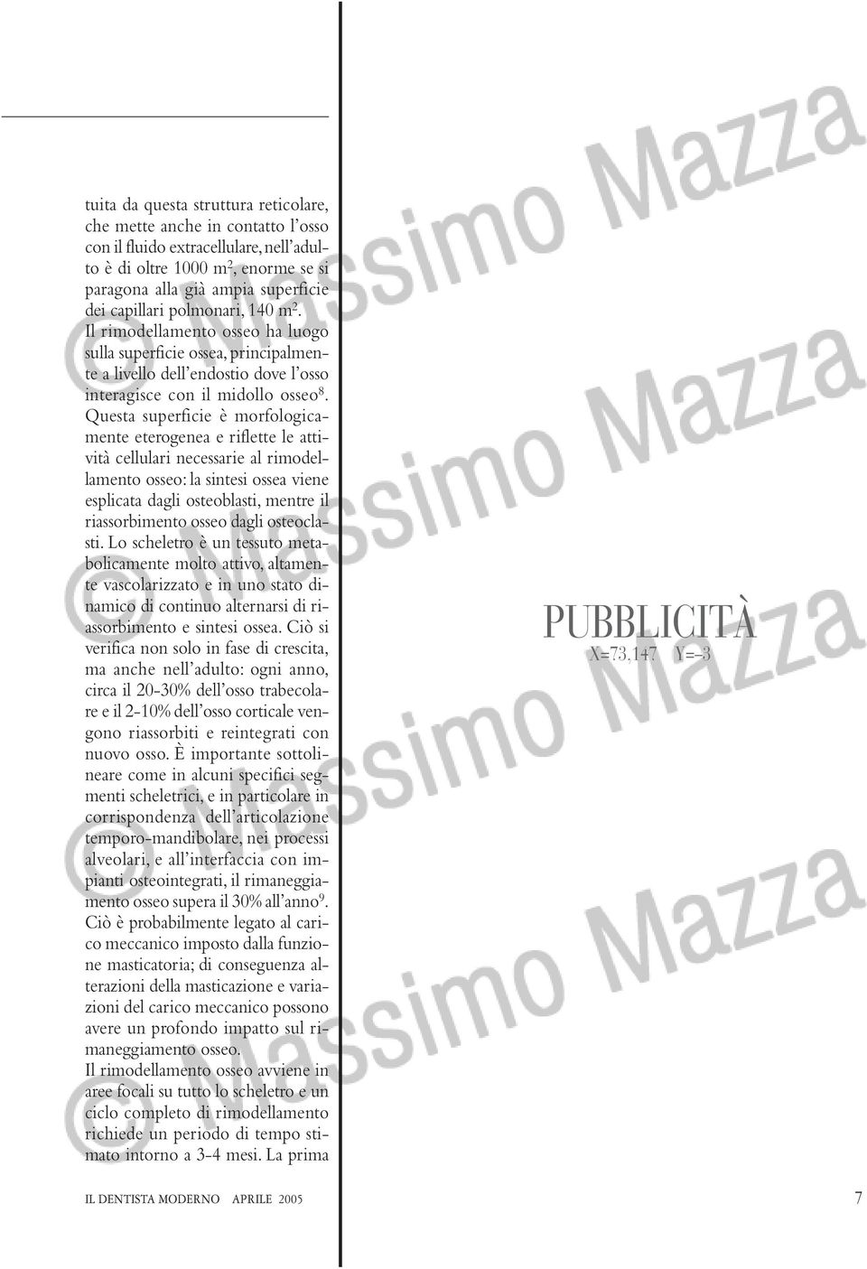 Questa superficie è morfologicamente eterogenea e riflette le attività cellulari necessarie al rimodellamento osseo: la sintesi ossea viene esplicata dagli osteoblasti, mentre il riassorbimento osseo