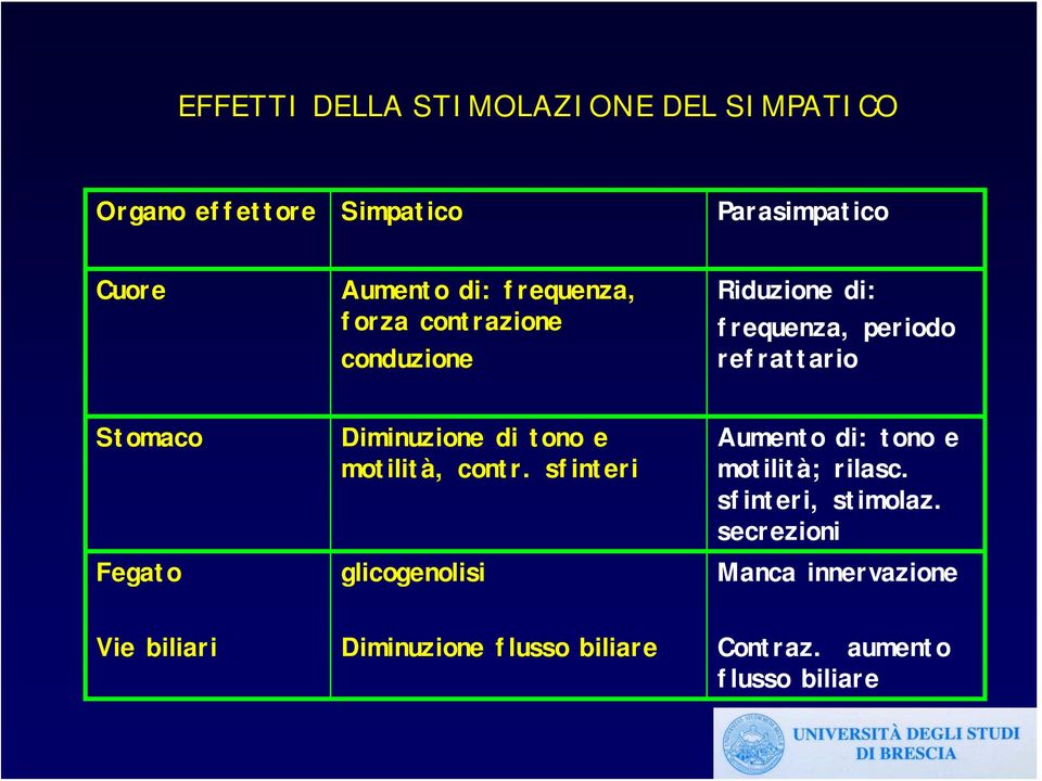 Diminuzione di tono e motilità, contr. sfinteri glicogenolisi Aumento di: tono e motilità; rilasc.