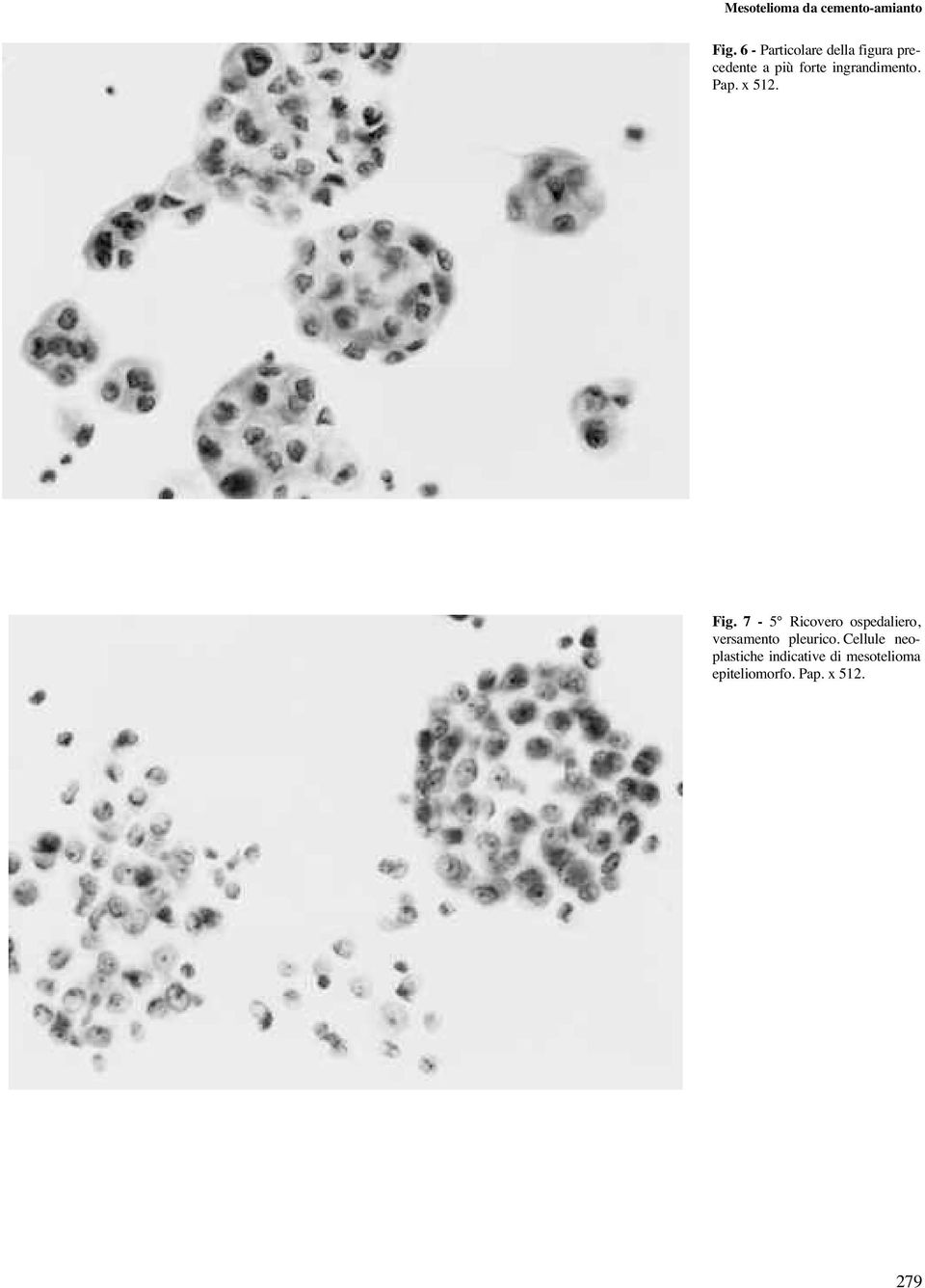 più forte ingrandimento. Pap. x 512. Fig.