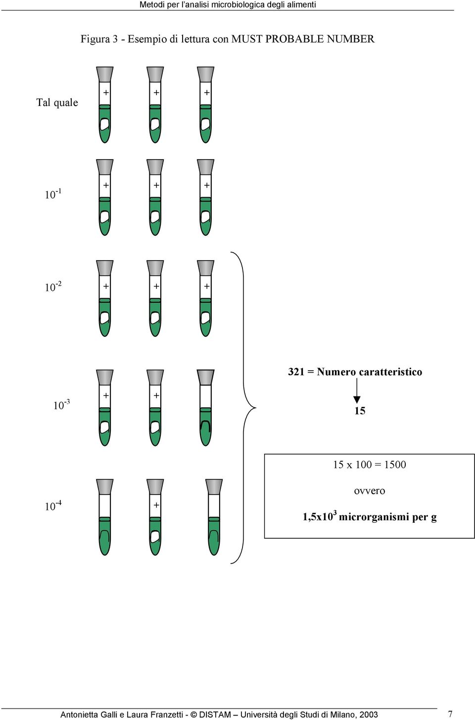 100 = 1500 10-4 + ovvero 1,5x10 3 microrganismi per g Antonietta