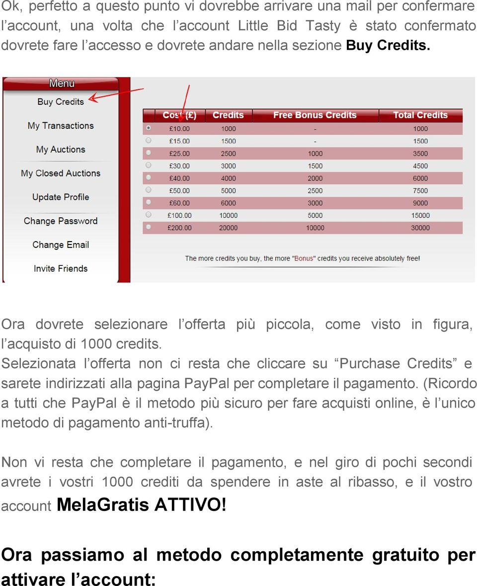 Selezionata l offerta non ci resta che cliccare su Purchase Credits e sarete indirizzati alla pagina PayPal per completare il pagamento.