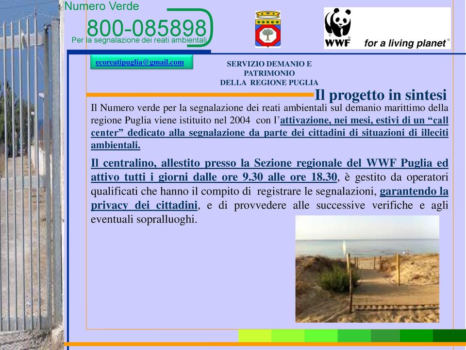 Il centralino, allestito presso la Sezione regionale del WWF Puglia ed attivo tutti i giorni dalle ore 9.30 alle ore 18.