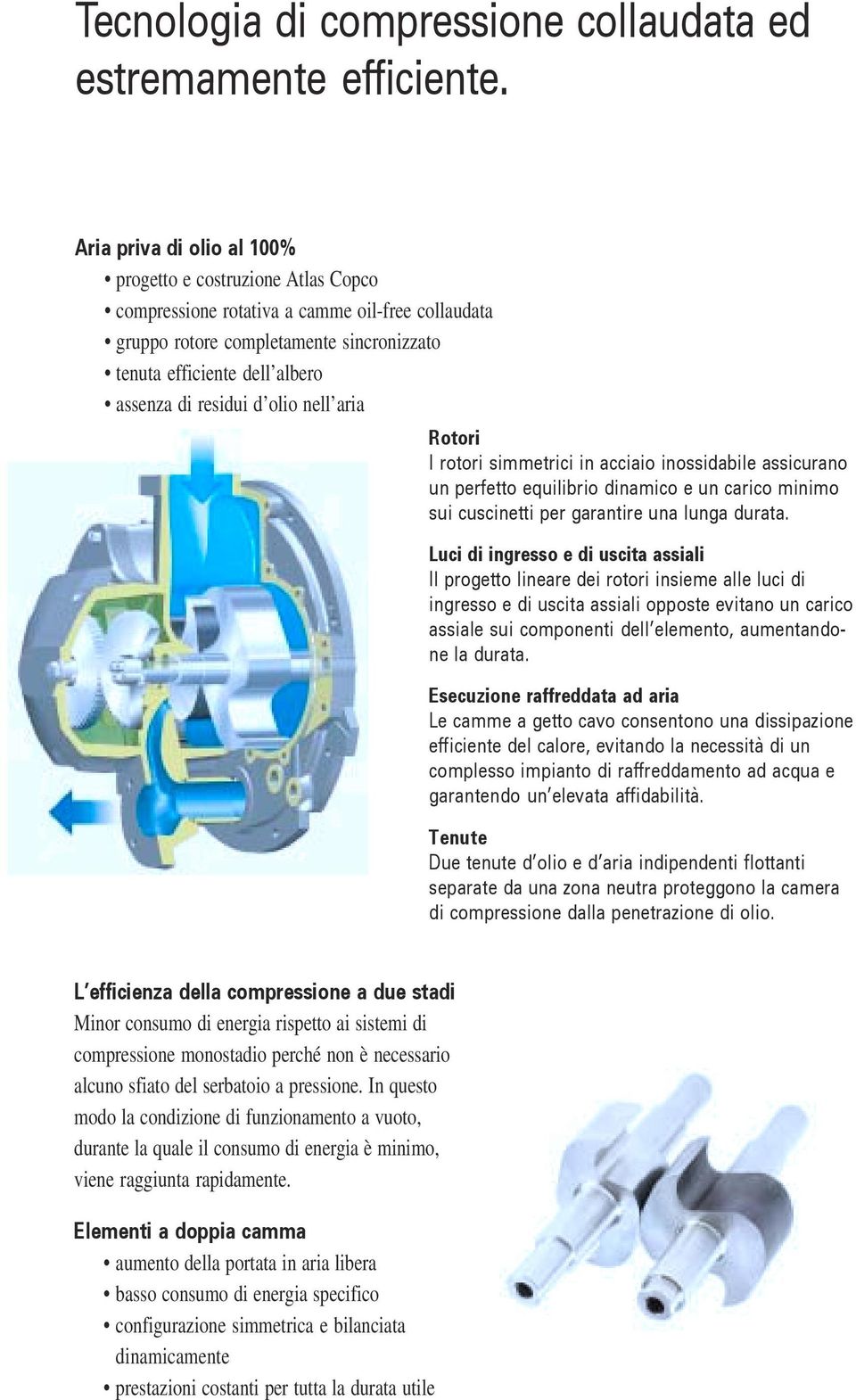 residui d olio nell aria Rotori I rotori simmetrici in acciaio inossidabile assicurano un perfetto equilibrio dinamico e un carico minimo sui cuscinetti per garantire una lunga durata.