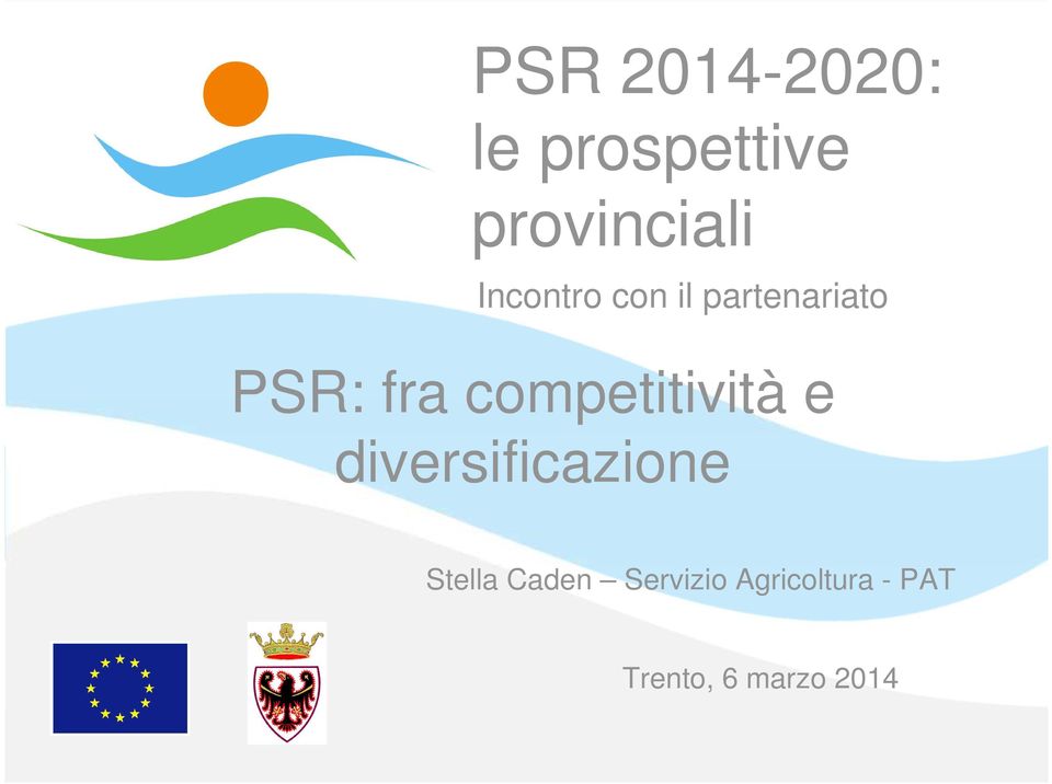 competitività e diversificazione Stella