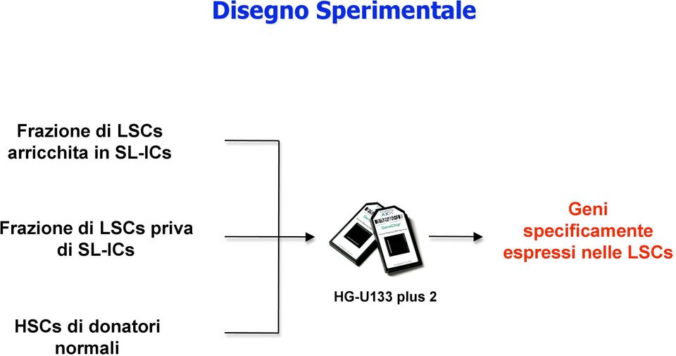 priva di SL-ICs Geni specificamente