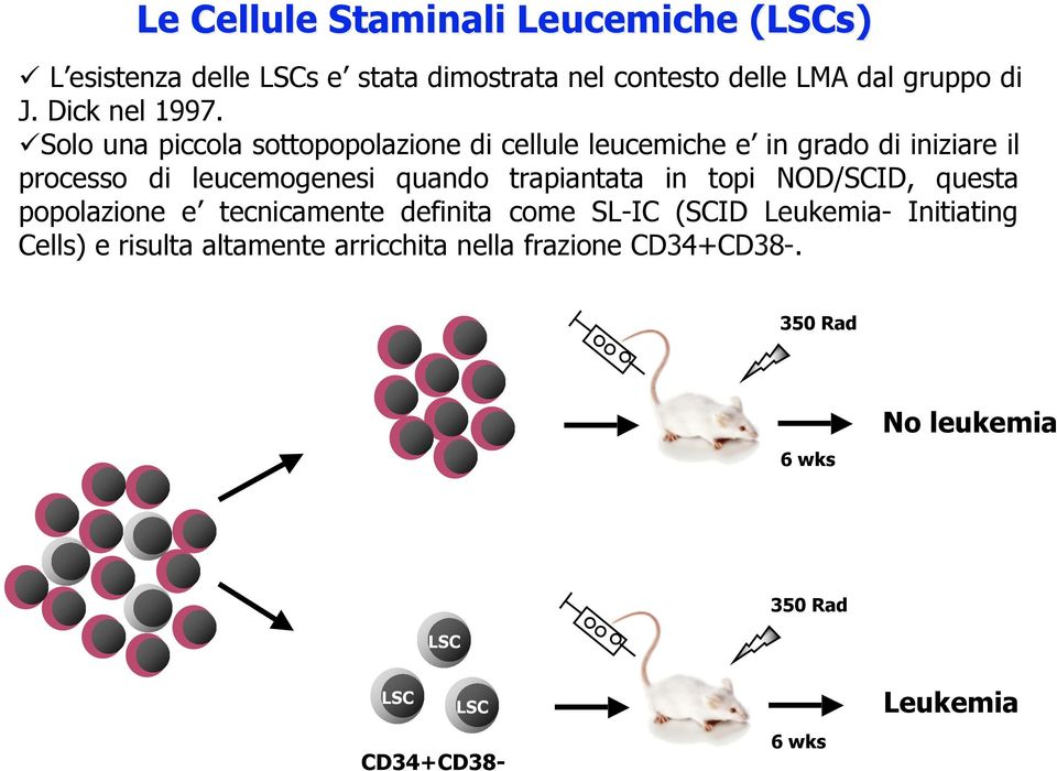 Solo una piccola sottopopolazione di cellule leucemiche e in grado di iniziare il processo di leucemogenesi quando