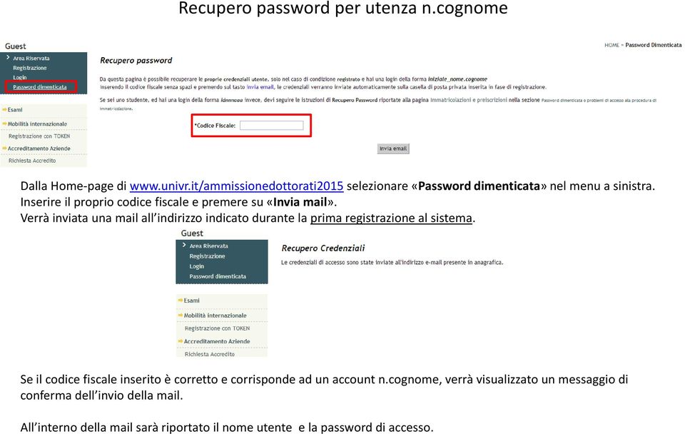 Inserire il proprio codice fiscale e premere su «Invia mail».