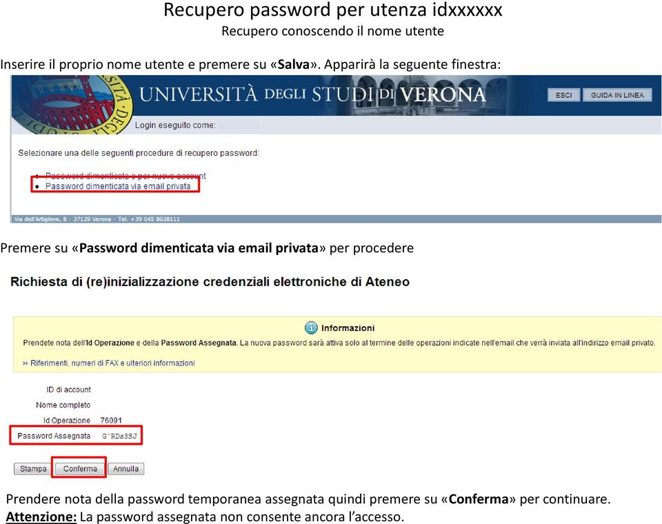Apparirà la seguente finestra: Premere su «Password dimenticata via email privata» per