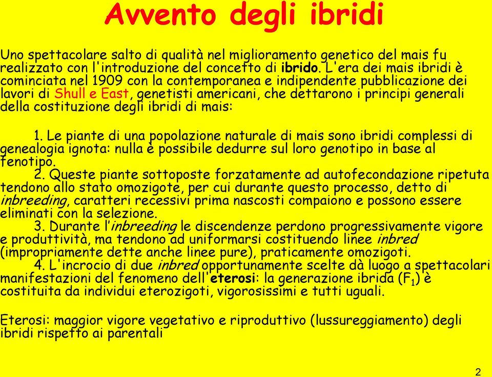 degli ibridi di mais: 1. Le piante di una popolazione naturale di mais sono ibridi complessi di genealogia ignota: nulla è possibile dedurre sul loro genotipo in base al fenotipo. 2.