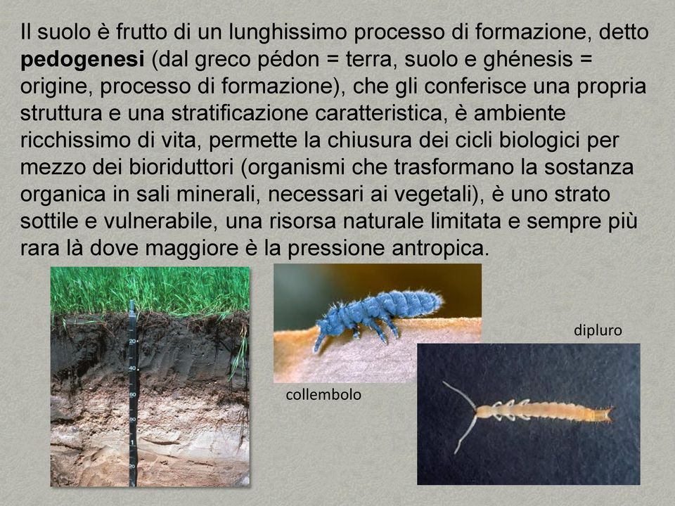 chiusura dei cicli biologici per mezzo dei bioriduttori (organismi che trasformano la sostanza organica in sali minerali, necessari ai