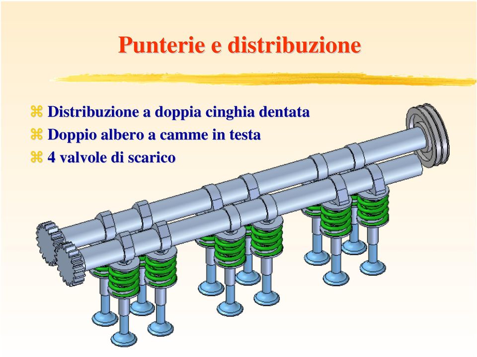 cinghia dentata Doppio