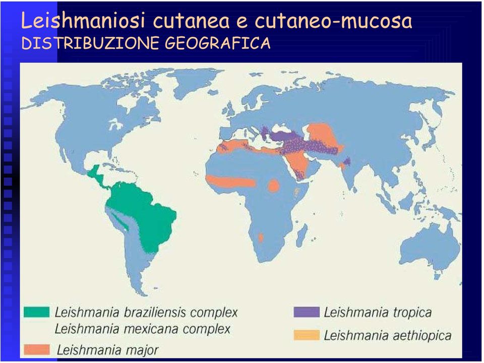 cutaneo-mucosa