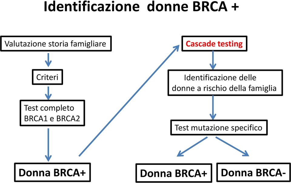 e BRCA2 Identificazione delle donne a rischio della