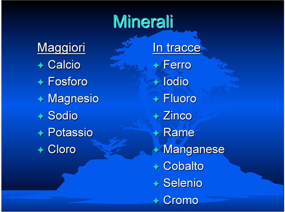 tracce Ferro Iodio Fluoro Zinco