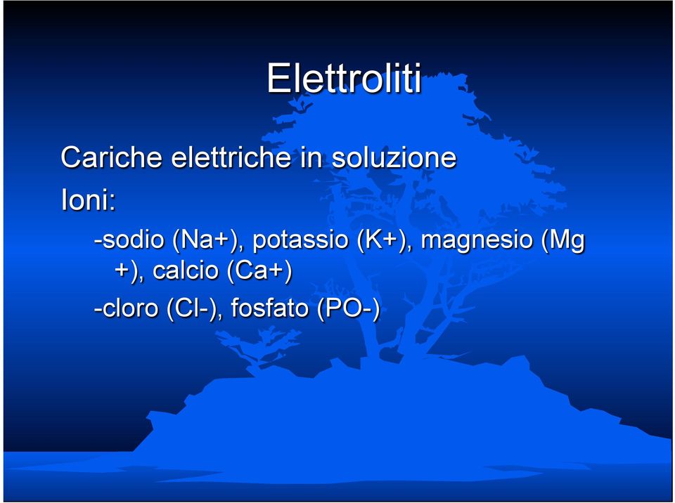 potassio (K+), magnesio (Mg +),