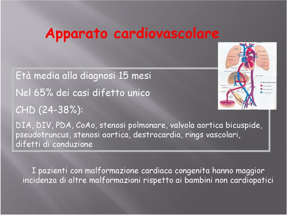 stenosi aortica, destrocardia, rings vascolari, difetti di conduzione I pazienti con