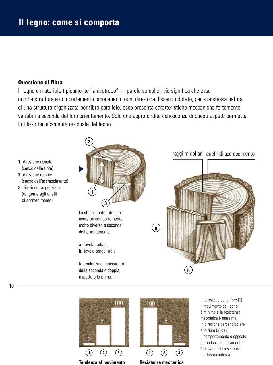 Solo una approfondita conoscenza di questi aspetti permette l utilizzo tecnicamente razionale del legno. 2 1. direzione assiale (senso delle fibre) 2. direzione radiale (senso dell accrescimento) 3.