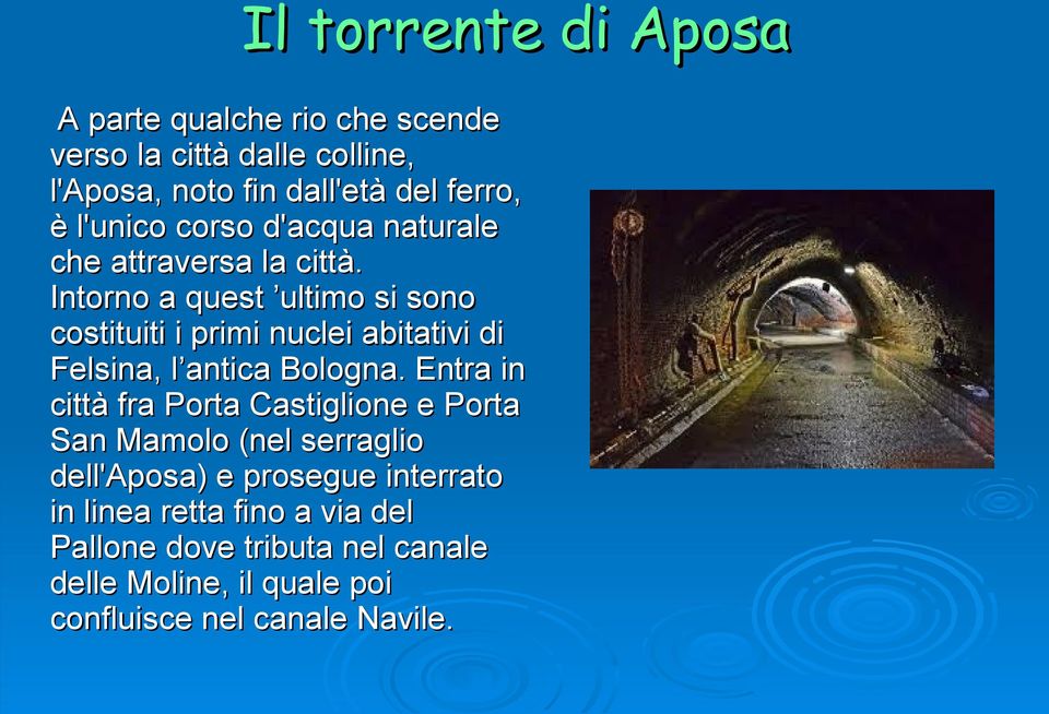 Intorno a quest ultimo si sono costituiti i primi nuclei abitativi di Felsina, l antica Bologna.