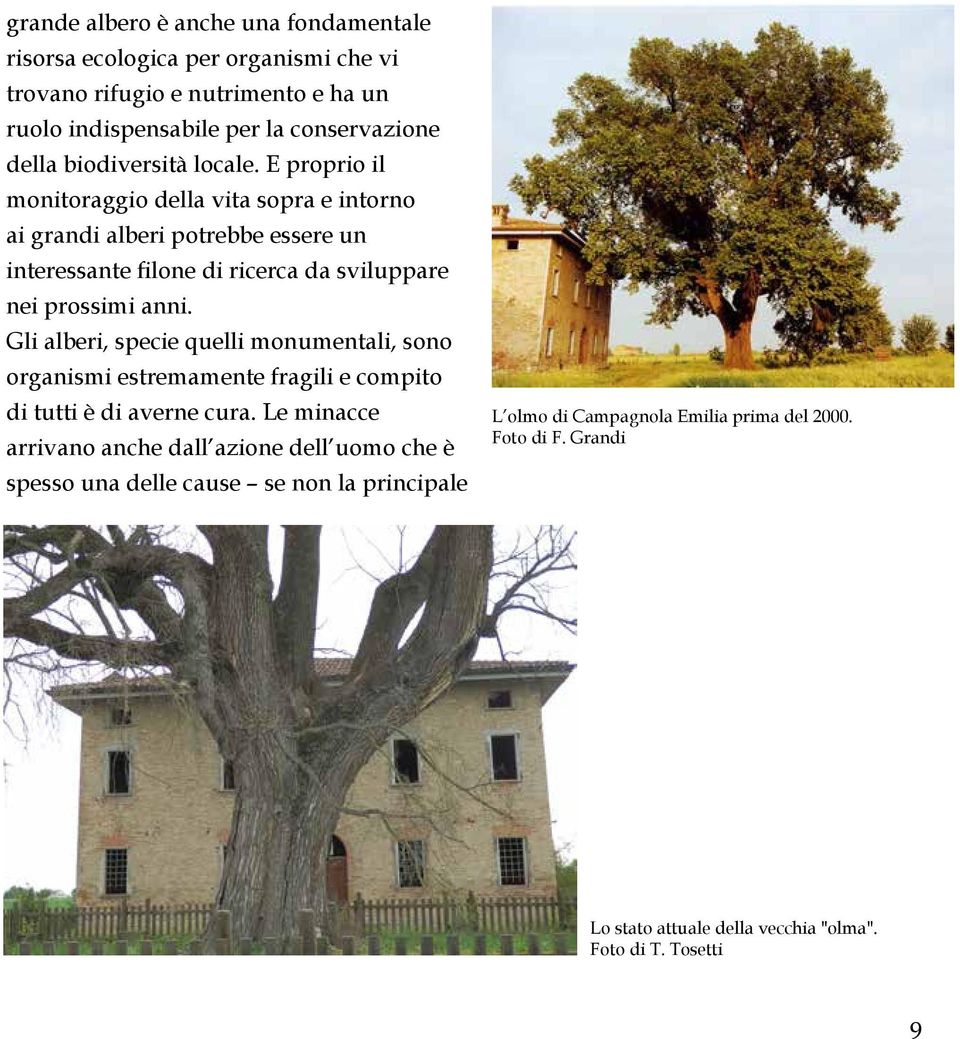 E proprio il monitoraggio della vita sopra e intorno ai grandi alberi potrebbe essere un interessante filone di ricerca da sviluppare nei prossimi anni.