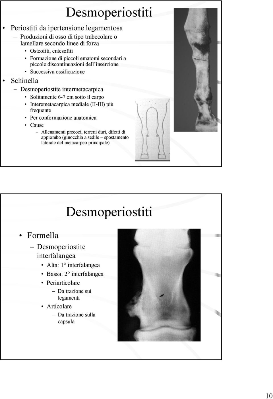 (II-III) più frequente Per conformazione anatomica Cause Allenamenti precoci, terreni duri, difetti di appiombo (ginocchia a sedile spostamento laterale del metacarpeo principale)