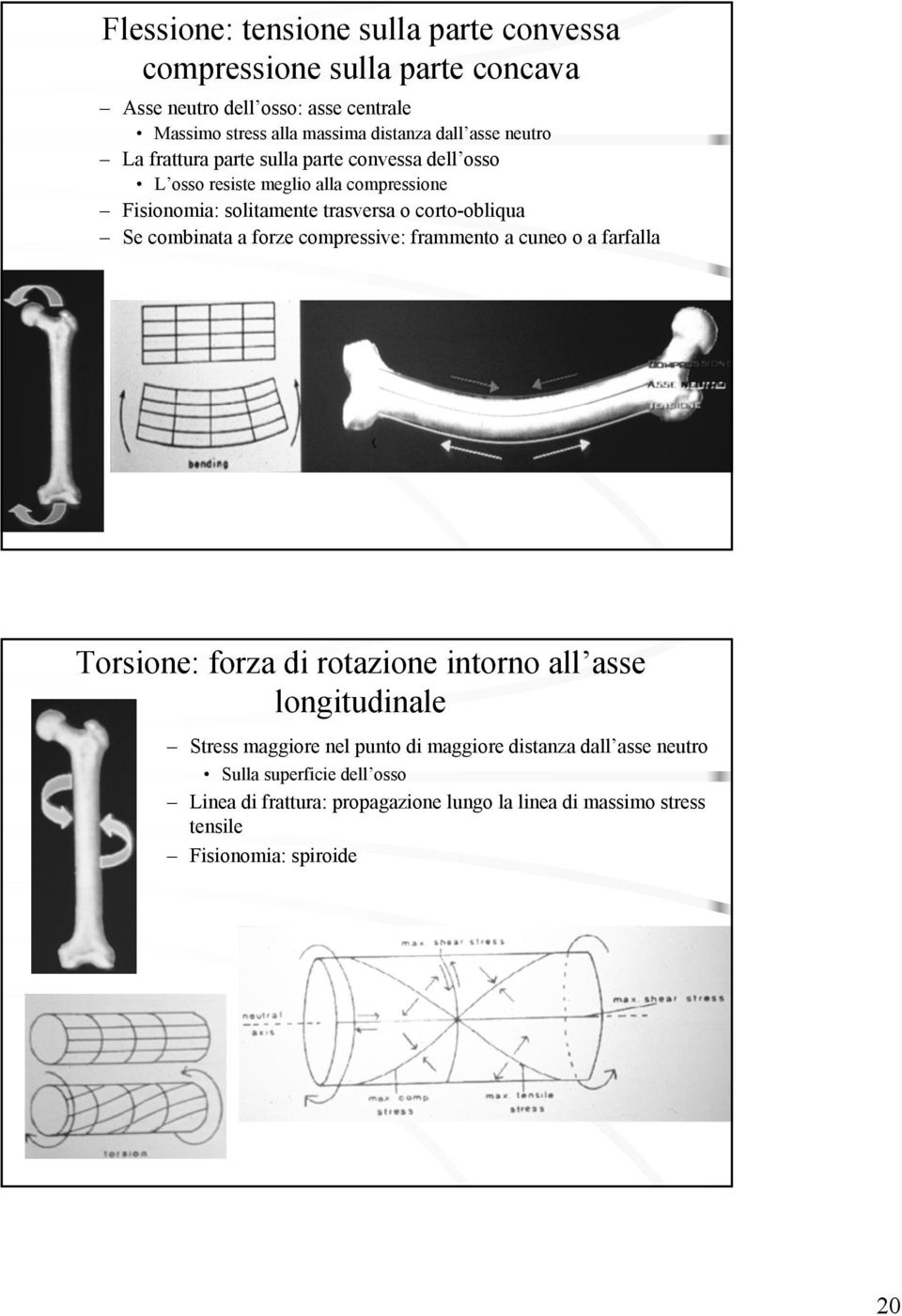 combinata a forze compressive: frammento a cuneo o a farfalla Torsione: forza di rotazione intorno all asse longitudinale Stress maggiore nel punto di