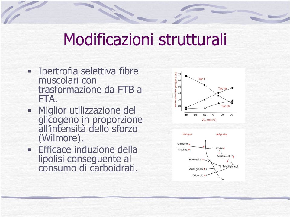 Miglior utilizzazione del glicogeno in proporzione all intensità