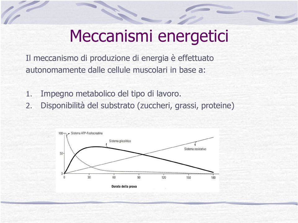 muscolari in base a: 1.