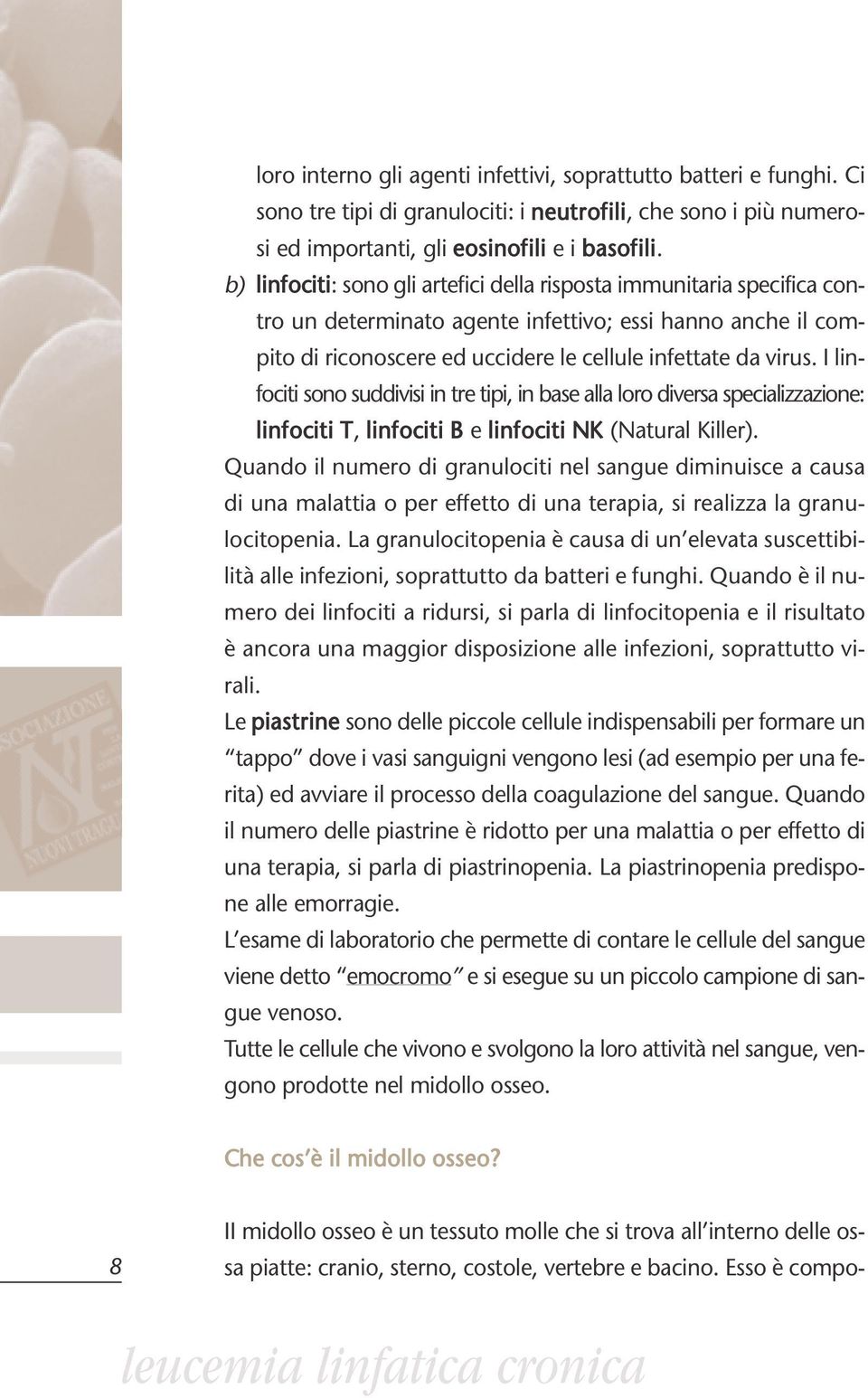 I linfociti sono suddivisi in tre tipi, in base alla loro diversa specializzazione: linfociti T, linfociti B e linfociti NK (Natural Killer).