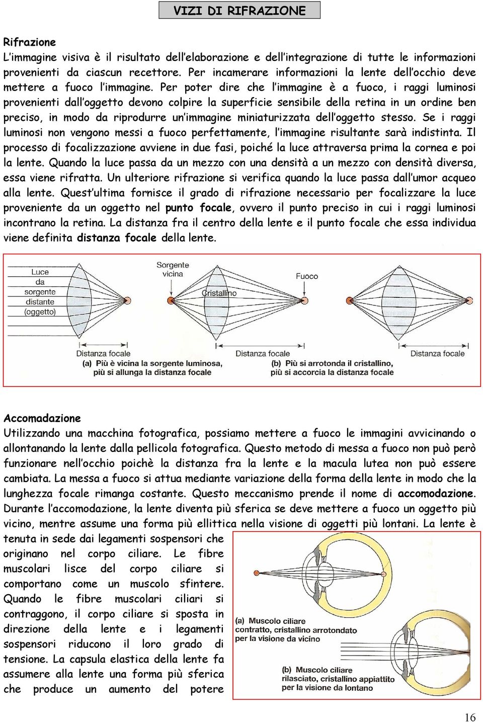 Per poter dire che l immagine è a fuoco, i raggi luminosi provenienti dall oggetto devono colpire la superficie sensibile della retina in un ordine ben preciso, in modo da riprodurre un immagine