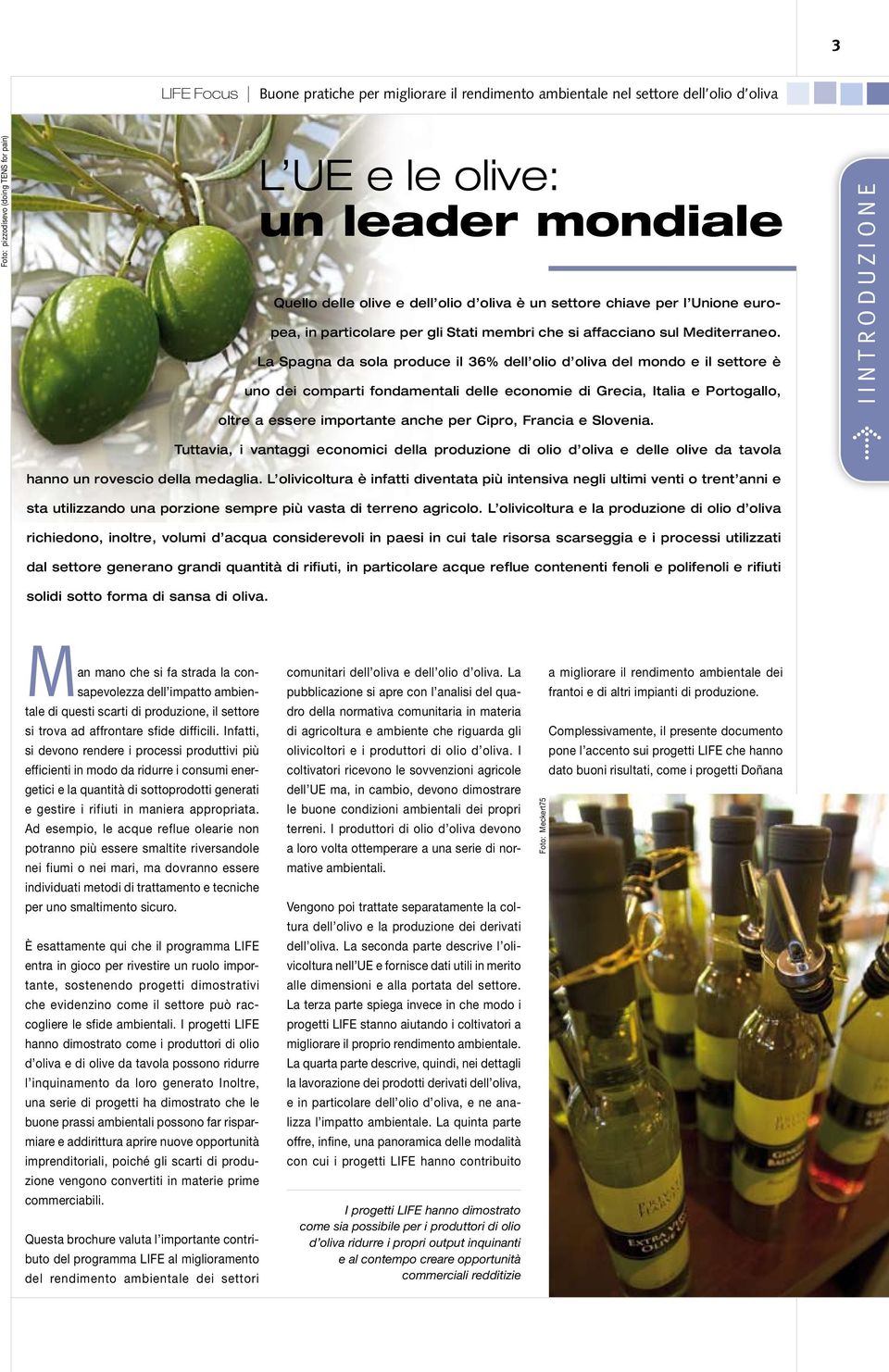 Francia e Slovenia. Tuttavia, i vantaggi economici della produzione di olio d oliva e delle olive da tavola hanno un rovescio della medaglia.