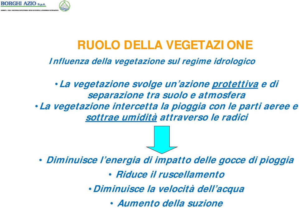 con le parti aeree e sottrae umidità attraverso le radici Diminuisce l energia di impatto delle