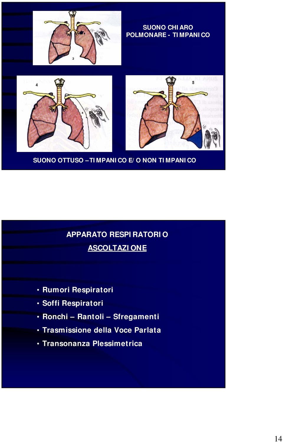 Rumori Respiratori Soffi Respiratori Ronchi Rantoli