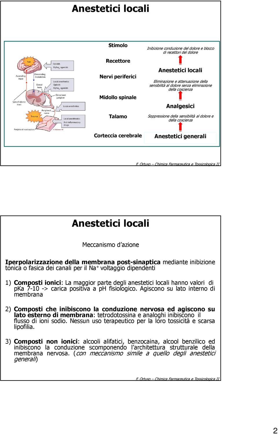 rtuso himica armaceutica e Tossicologica II Meccanismo d azione Iperpolarizzazione della membrana post-sinaptica mediante inibizione tonica o fasica dei canali per il a + voltaggio dipendenti 1)