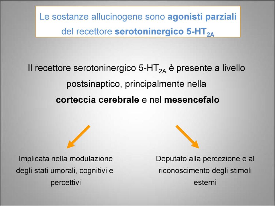 nella corteccia cerebrale e nel mesencefalo Implicata nella modulazione degli stati