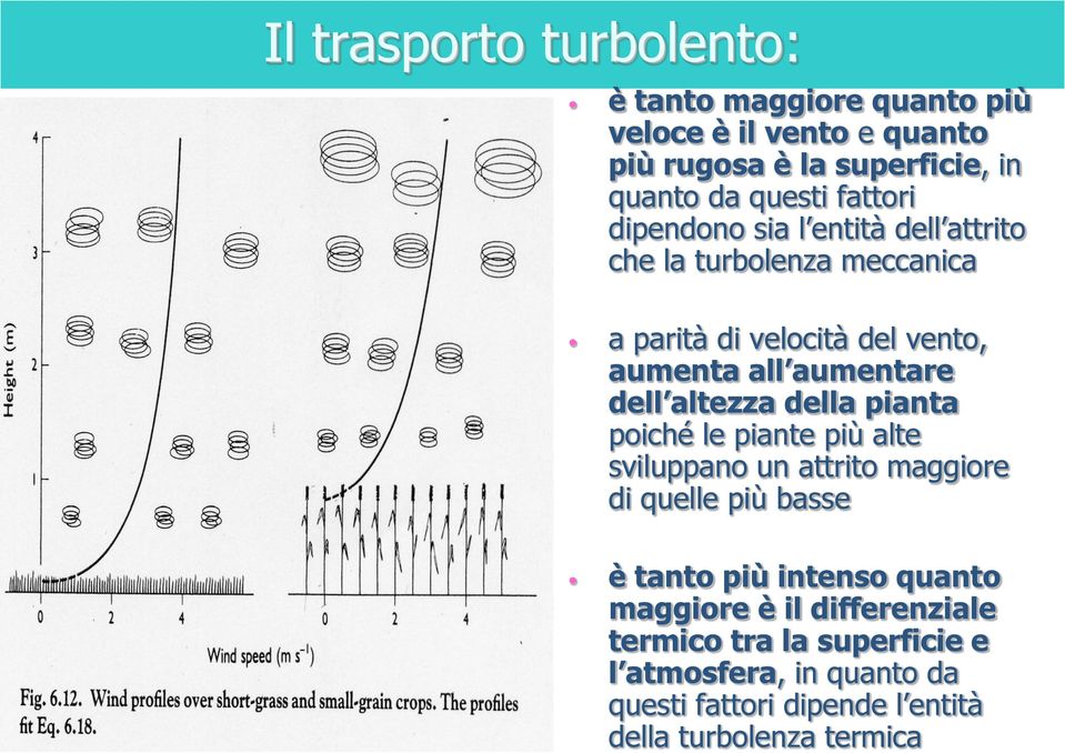 altezza della pianta poiché le piante più alte sviluppano un attrito maggiore di quelle più basse è tanto più intenso quanto