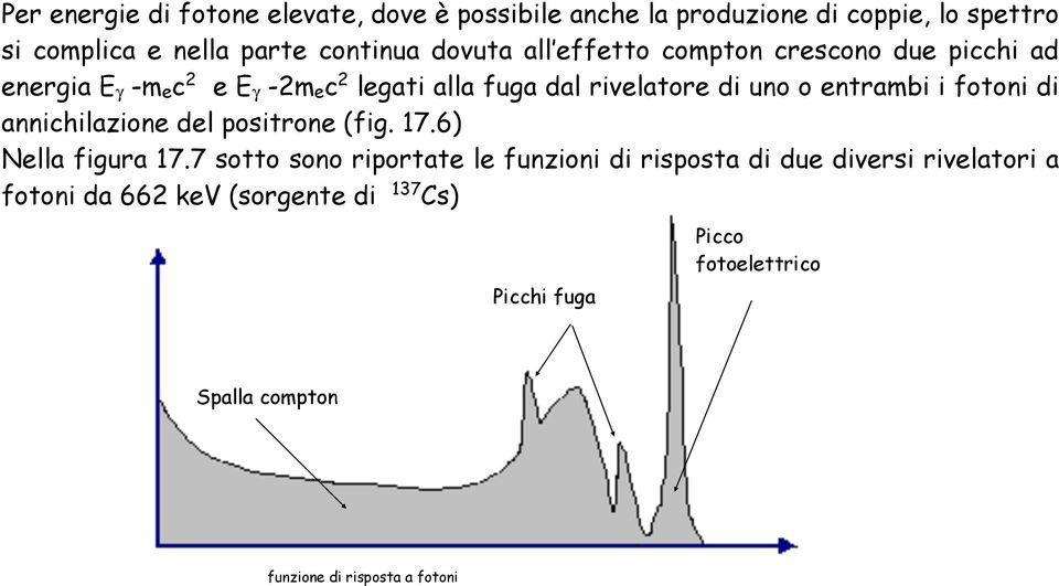 entrambi i fotoni di annichilazione del positrone (fig. 17.6) Nella figura 17.