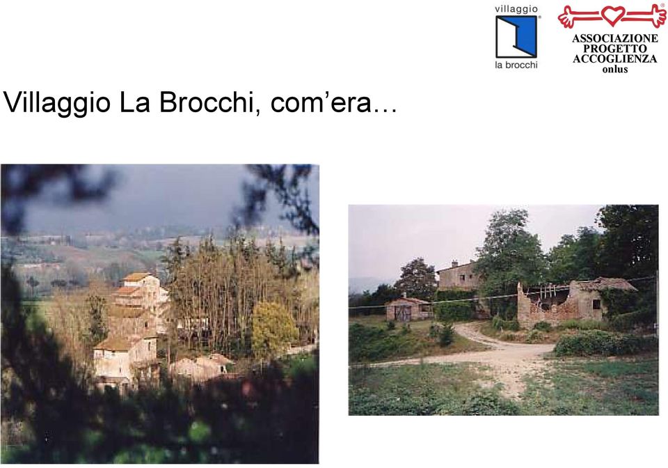 Brocchi,
