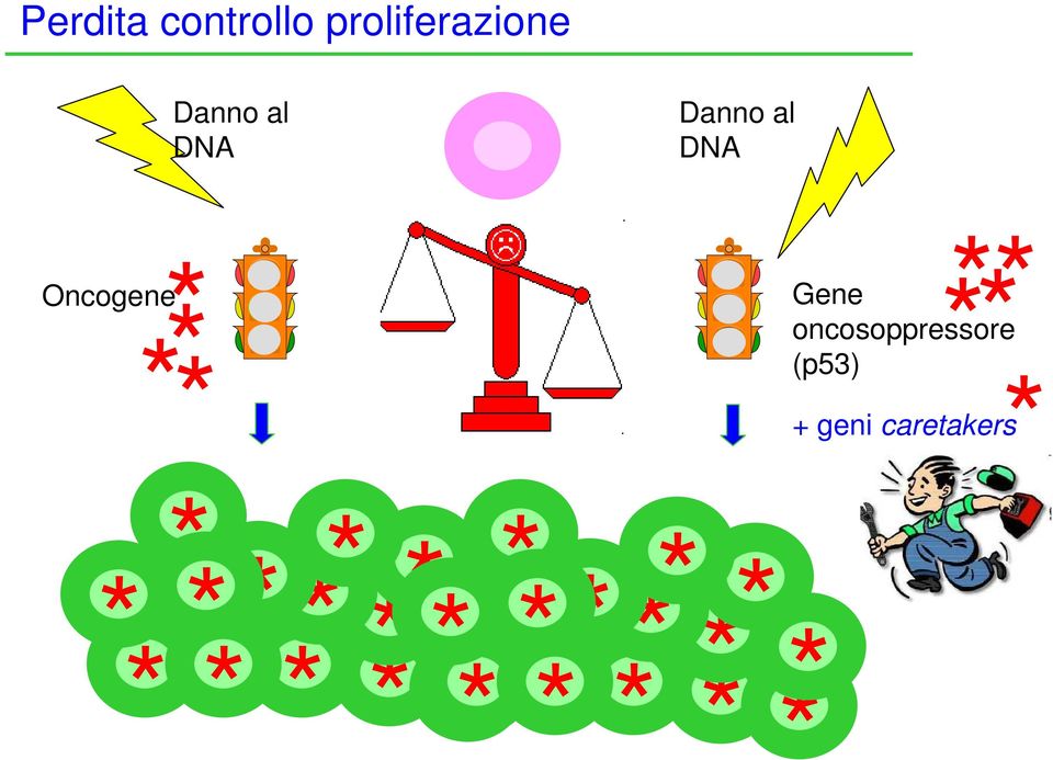 oncosoppressore (p53) + geni caretakers*