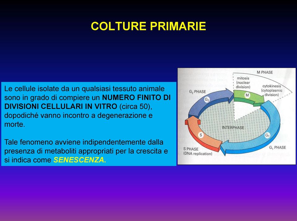 vanno incontro a degenerazione e morte.