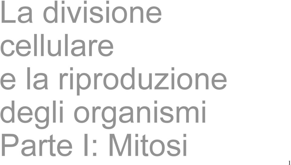 riproduzione degli