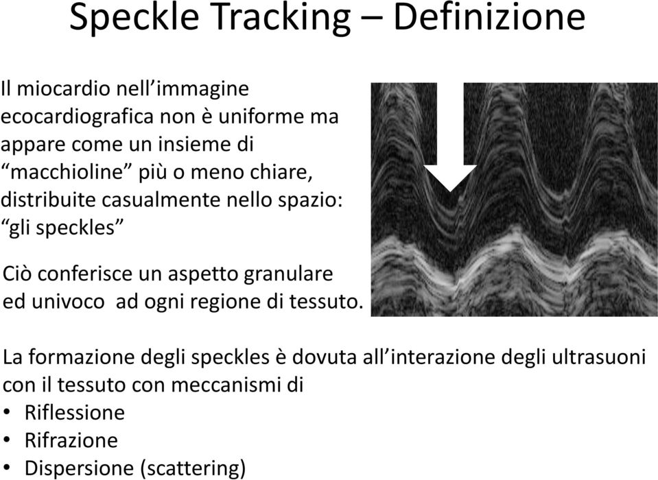 conferisce un aspetto granulare ed univoco ad ogni regione di tessuto.