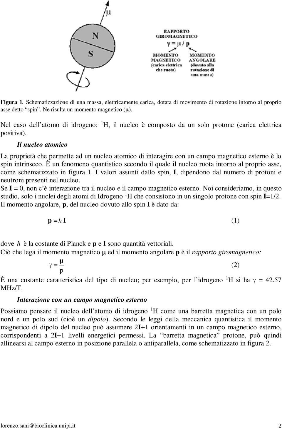 Il nucleo atomico La proprietà che permette ad un nucleo atomico di interagire con un campo magnetico esterno è lo spin intrinseco.