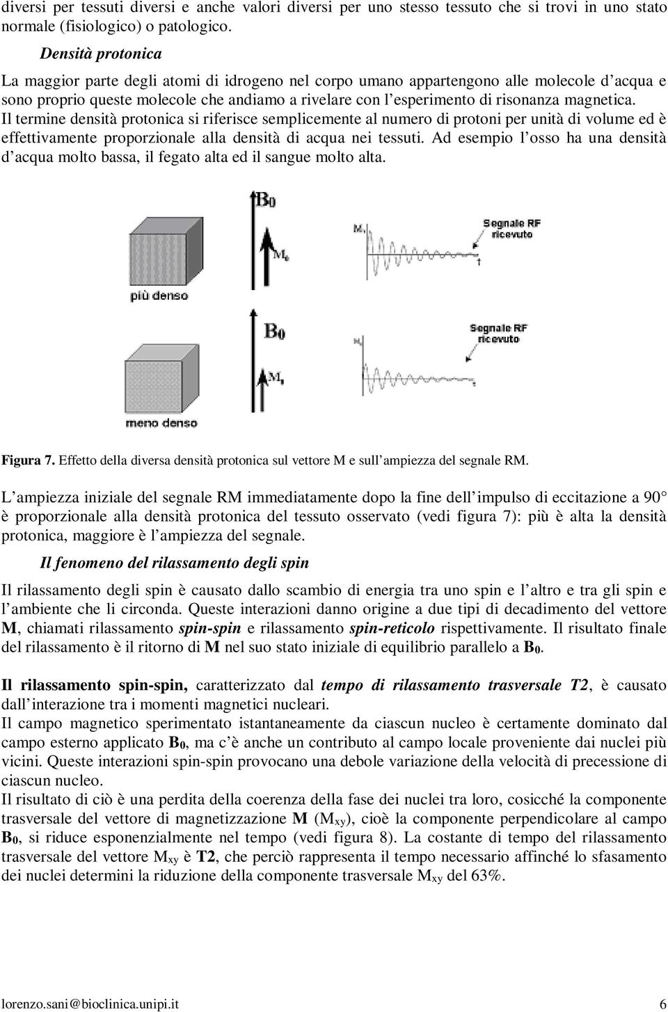 magnetica. Il termine densità protonica si riferisce semplicemente al numero di protoni per unità di volume ed è effettivamente proporzionale alla densità di acqua nei tessuti.