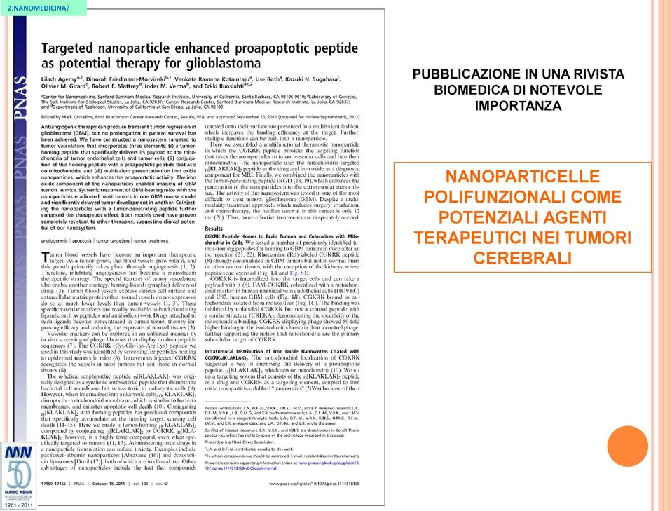 NANOPARTICELLE POLIFUNZIONALI COME