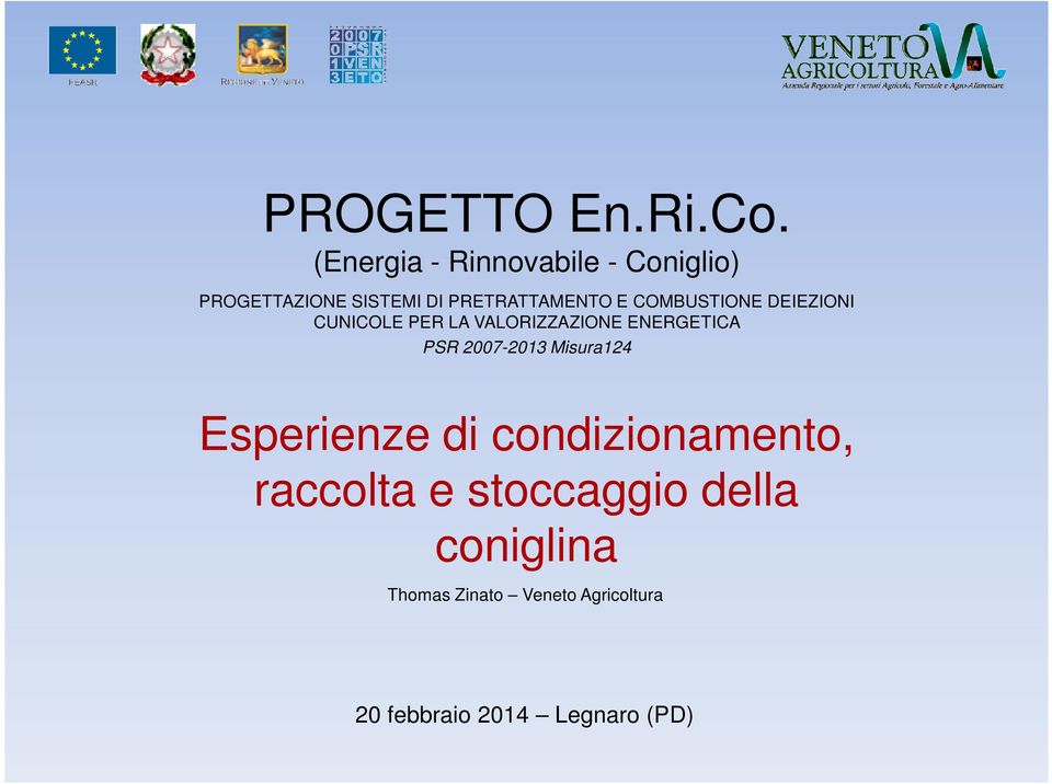 COMBUSTIONE DEIEZIONI CUNICOLE PER LA VALORIZZAZIONE ENERGETICA PSR 2007-2013