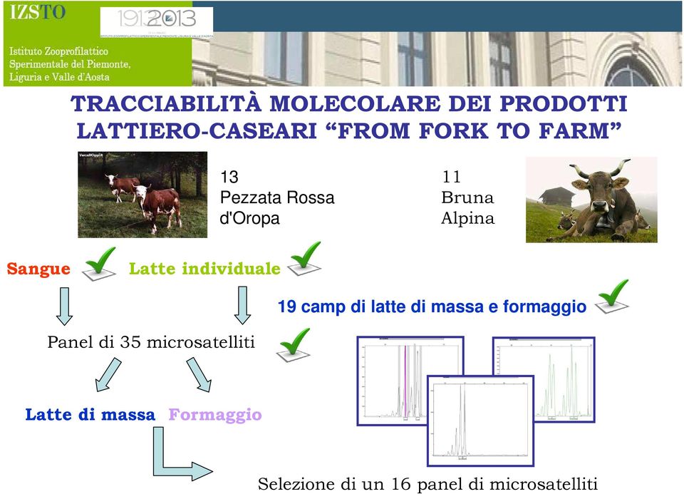 individuale Panel di 35 microsatelliti 19 camp di latte di massa e