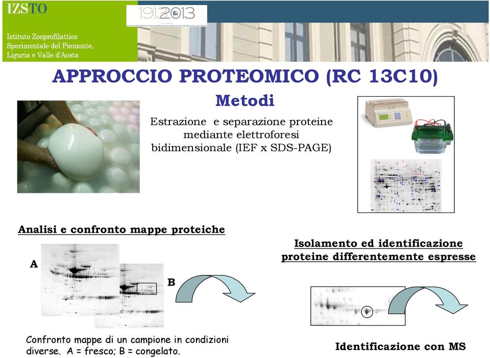 Isolamento ed identificazione proteine differentemente espresse A B Confronto mappe