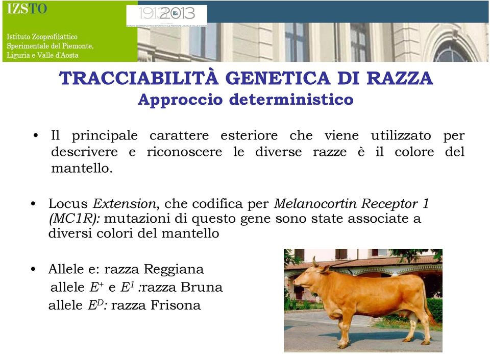 Locus Extension, che codifica per MelanocortinReceptor1 (MC1R): mutazioni di questo gene sono state